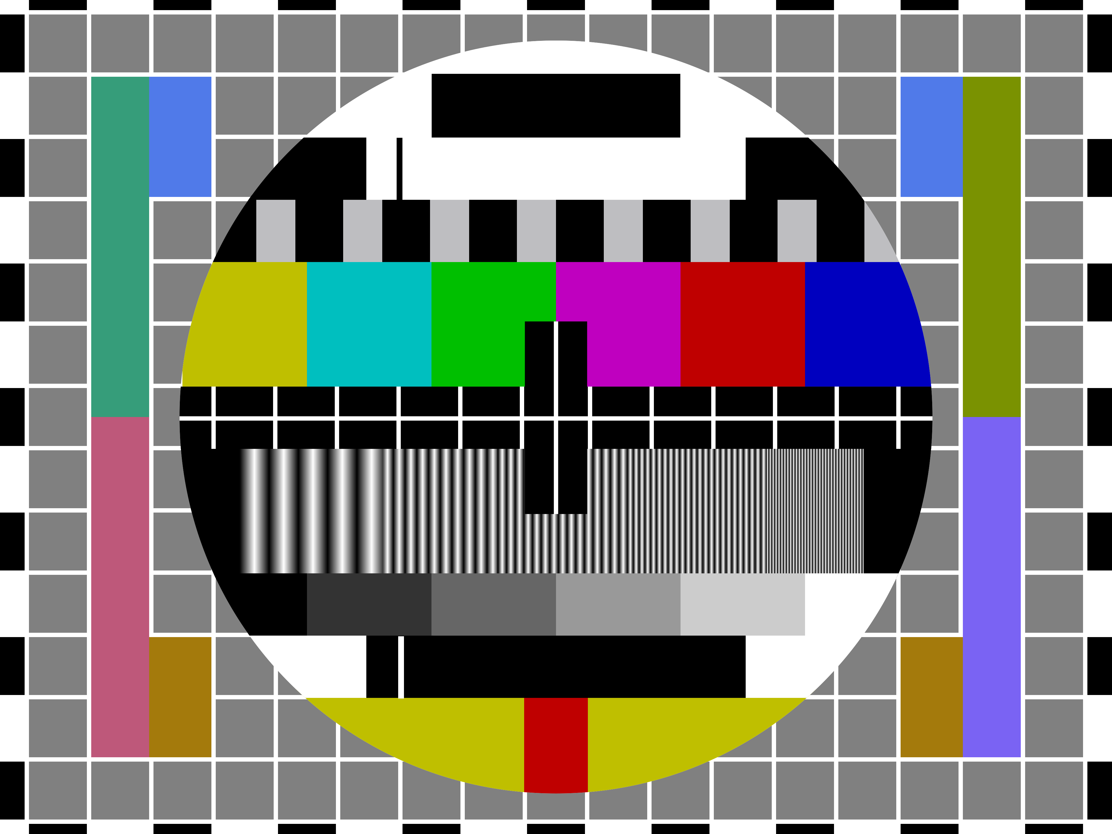 Test Screening einer CH Realityshow Mini-Serie