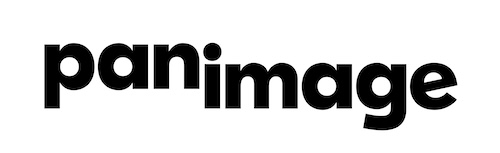 Logo Panimage