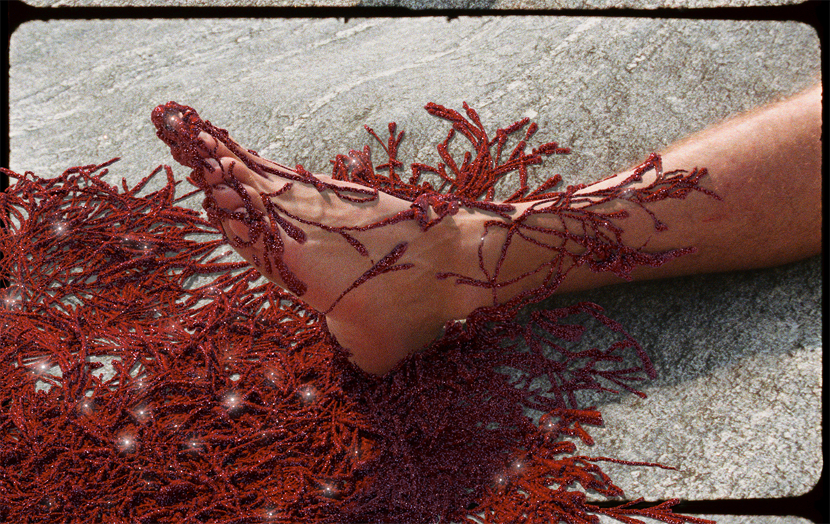 Festivaltrailer 2025: «Algen»