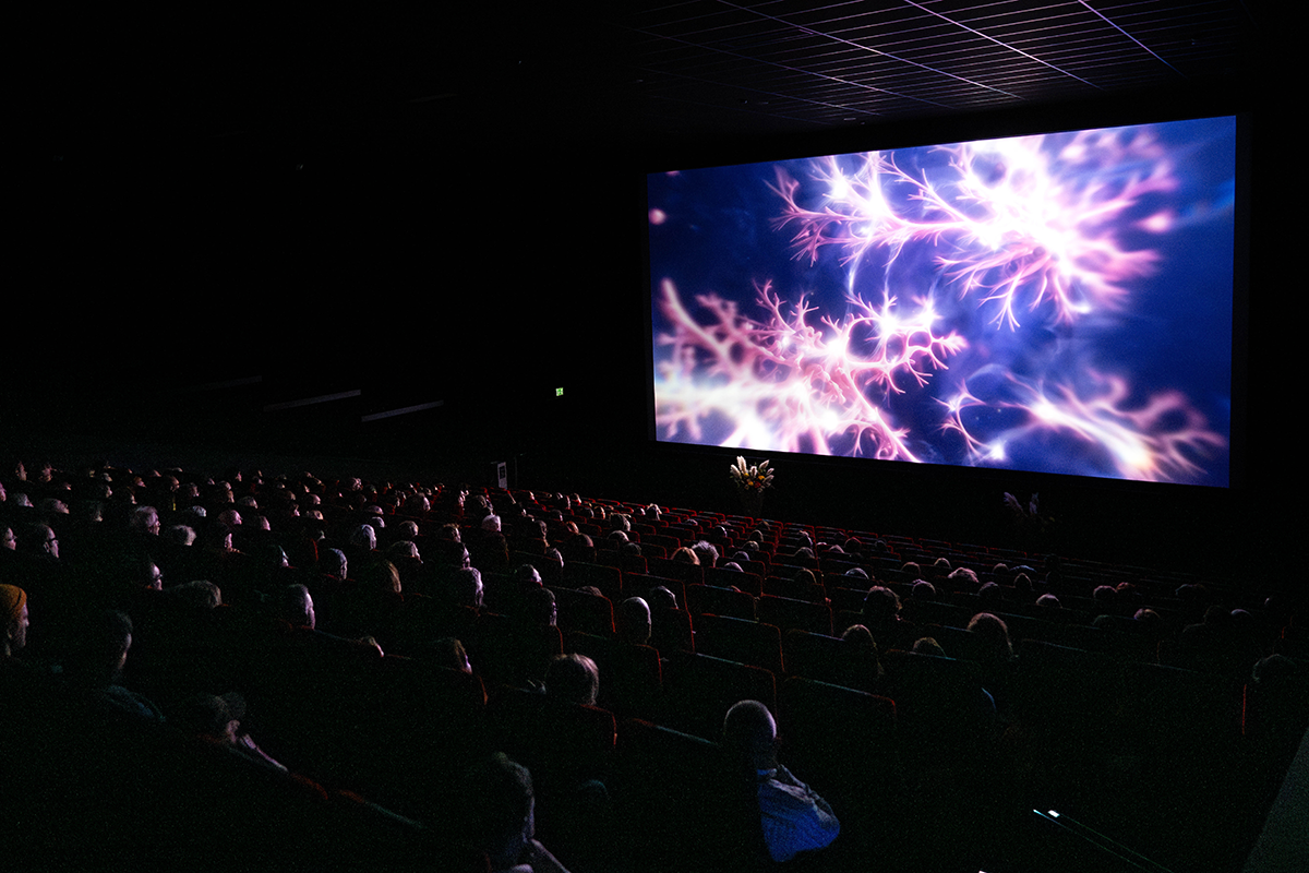 Bam! Das Programm der Kurzfilmtage ist da! 