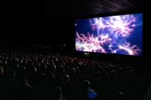 Bam! Das Programm der Kurzfilmtage ist da! Bam! Das Programm der Kurzfilmtage ist da!