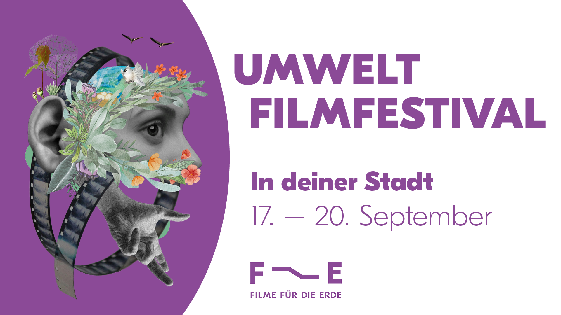 Umweltfilmfestival in der ganzen Schweiz