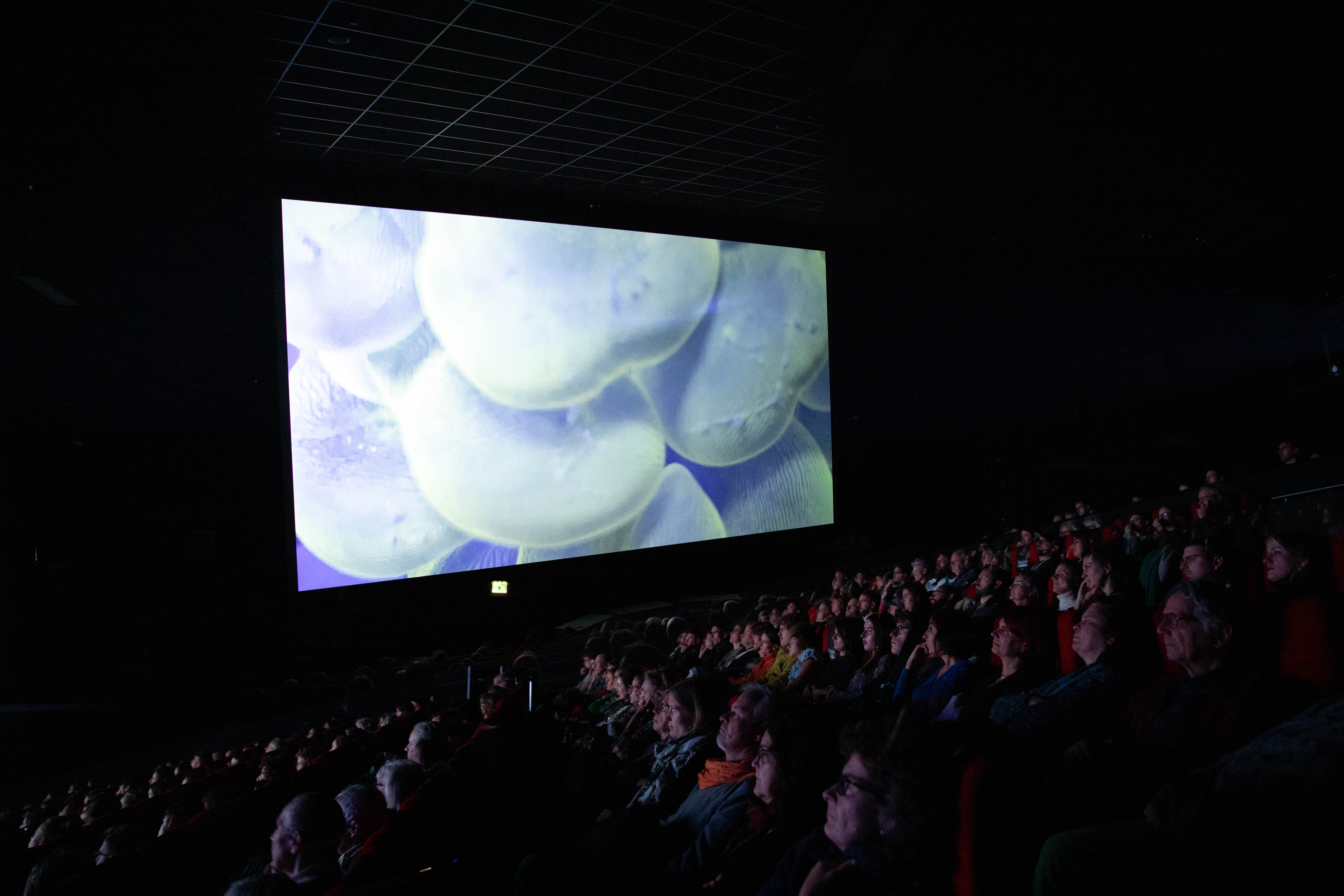 Das waren die 29. Internationale Kurzfilmtage Winterthur