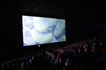 Das waren die 29. Internationale Kurzfilmtage Winterthur