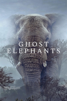 Deutschschweizer Kinopremiere GHOST ELEPHANTS von Werner Herzog │ Sa 16.5. 18:30 │ Kino Filmpodium, Nüschelerstr. 11