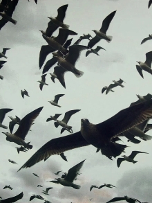LEVIATHAN