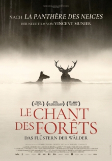 Neu im Streaming: Le Chant Des Forêts