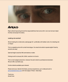 Afraid - Hauptrolle gesucht (englisch)